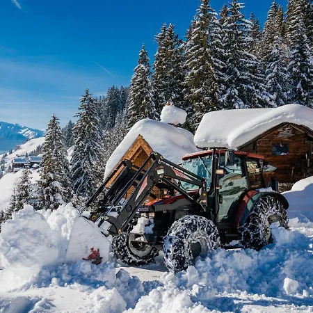 펜션 In Hollersbach Near Kitzbuehel Lift Dorf (Salzburg)